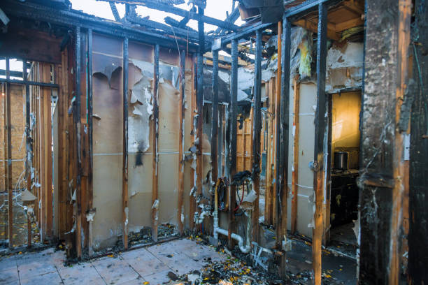 Professional Fire Damage Removal technician working in Des Allemands, LA